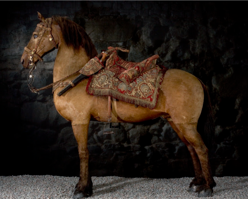 Taxidermie du cheval Streiff. Livrustkammaren. Musée de l'armurerie
